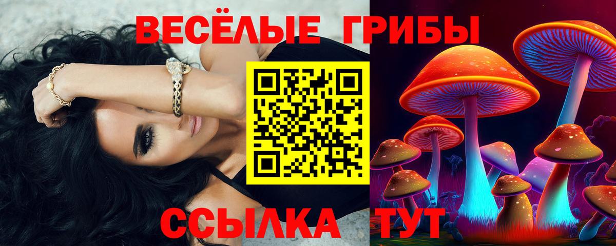 Новороссийск  Псилоцибиновые грибы MAGIC MUSHROOMS  Вход с VPN 