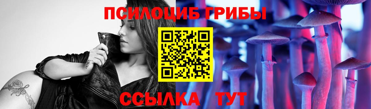 Галлюциногенные грибы GOLDEN TEACHER Новороссийск